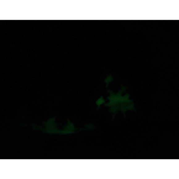 Dr. Martens TMNT Leonardo Boots GLOW IN THE DARK – Rare – Women’s 7 / Men’s 6 - Picture 12 of 14